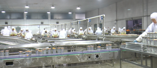 宜昌嘉源食品引进政策解析 助推企业高质量发展